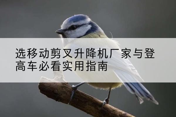 阿拉善盟电动升降机厂家-选移动剪叉升降机厂家与登高车必看实用指南
