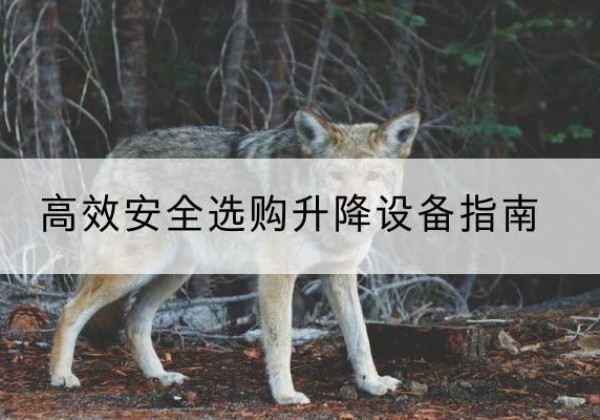 阿拉善盟升降货梯厂家推荐-*安全选购升降设备指南